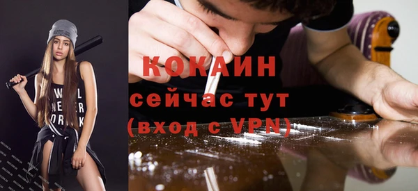 прущие грибы Абинск