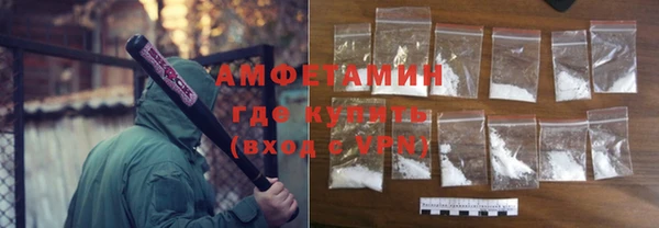 прущие грибы Абинск