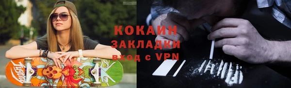 прущие грибы Абинск