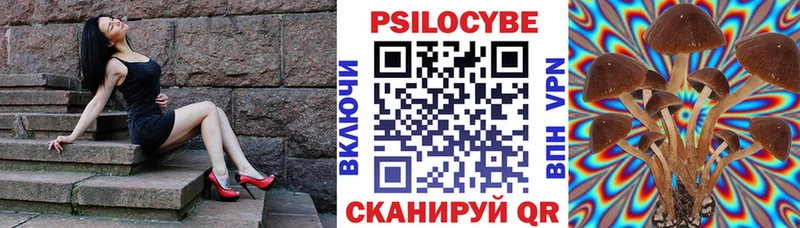 Галлюциногенные грибы GOLDEN TEACHER  Адыгейск 