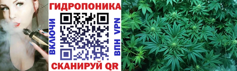 купить   shop официальный сайт  Конопля ГИДРОПОН  Адыгейск 